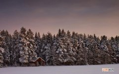 桑螵蛸有什么药用价值 精漏吃什么药最好