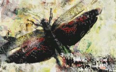 纯牛奶和奶粉哪个做面膜好 婴儿奶粉面膜