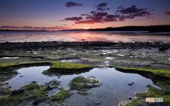 白斑是怎么回事 黑色素减退出现白斑