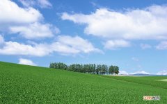 内分泌失调长斑怎么办呢 内分泌失调脸上长斑能去掉吗