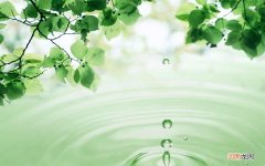 糖尿病人能吃蜂胶吗 糖尿病可以吃草莓柿子吗