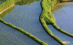 谁有去除瘊子的好方法 脖子上长了瘊子怎么办