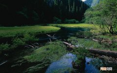 糖尿病导致肾脏出现问题 糖尿病尿液味道