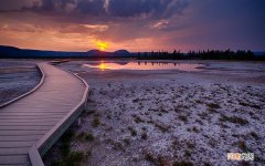 早餐吃什么养胃 养胃粥的100种做法 早餐