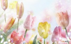 一天之中什么时间点喝牛奶最好 牛奶什么时候喝能长高