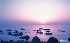 绞股蓝有什么功效 绞股蓝能长期泡水喝吗