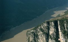 什么是直肠肿瘤 轻度直肠恶变的费用