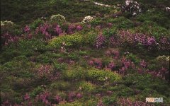 有什么办法可以治吗 40岁女人性冷淡吃啥药