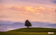 还有其它原因能引发咳嗽吗 咳嗽就一定是感冒吗