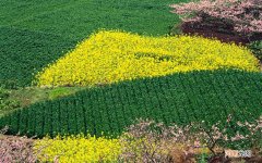 肾气不足喝中药多久可以调理好 男人肾虚吃中药多久好