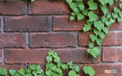 女孩子一般喜欢吃什么美食 女生爱吃的小吃排行榜