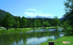 晚上睡觉前能不能喝蜂蜜水 喝蜂蜜水有什么禁忌吗