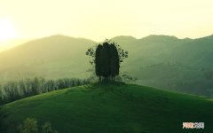 寒湿体质的表现症状及调理方法 怎么能把头部湿寒排出来