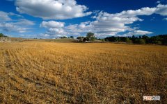 早泄可以治痊愈吗 如何改善早些泄能治好吗