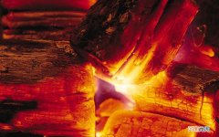 粥的家常做法 各种大米粥的做法大全