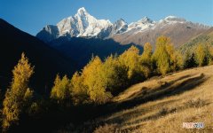 激光祛斑后反黑多久能恢复 脸激光祛斑反黑多久能恢复