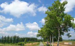 黑米紫薯大米燕麦一起煮粥好吗 发烧能吃黑米紫薯粥吗