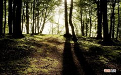 大姨妈来的时候不能干什么不能吃什么 生理期不能做什么