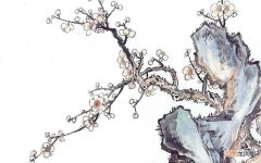 为什么白血病移植骨髓后还是会死 干细胞移植后感染能救吗