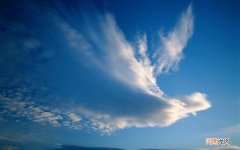 肾阴阳两虚先补哪个 阴虚阳虚补错了会怎样