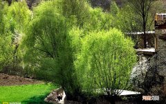 早晨跑步对锻炼身体有作用吗 女生晨跑的好处