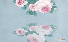 足浴养生会所需投资多少 400平足浴店投资多少钱