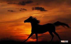 光明白雪无蔗糖酸牛奶的热量是多少 光明酸奶喝了会长胖吗