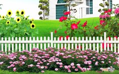 这说法是否正确 喝醉了可以喝冻酸奶吗