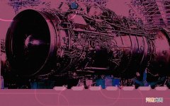 减肥不能吃猪肉吗 减肥吃什么肉瘦得快