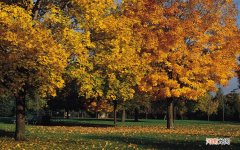 成熟男士用品必备 男性用品的自制