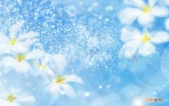 有哪些适合三十岁左右女人用的性价比高的护肤品品牌 35岁以上适合用什么牌子