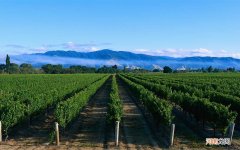 为什么抹水乳会长脂肪粒 为什么脸上一直有脂肪粒