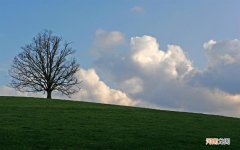 你能说出小时候的一句广告词吗 胃炎能不能喝壬老洁