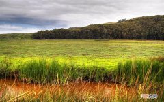 女性有哪些危害 女孩子自位的危害