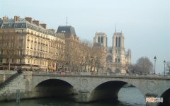 三文鱼辣根蘸料怎么做 三文鱼能用柠檬去腥吗