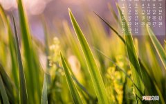 性的好与坏 五次是不是纵欲过度