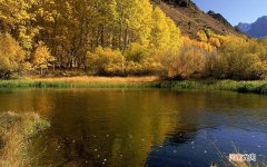 和领导吃饭谁付钱 请女孩子吃饭注意事项