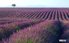 足跟痛患者打封闭针后过了一段时间又复发了怎么办 右归丸吃多久才有效