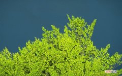 夫妻两人需要分房睡吗 正常夫妻几天同一次房比较好