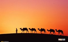 吃海鲜拉肚子你们怎么看 吃海鲜喝啤酒拉肚子