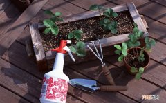 生物反馈训练靠谱吗 生物波治疗仪到底有没有用