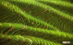 橘子涂什么颜色 我把这橙子敷在了这上面