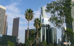 龙胆泻肝汤方剂 龙肝泻胆汤的作用与功效