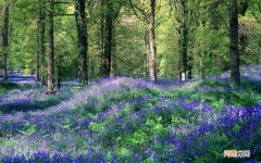 打胰岛素一个月大概要花多少钱 糖尿病住院十天多少钱