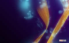 泰迪狗能不能吃巧克力 拉肚子能不能吃巧克力