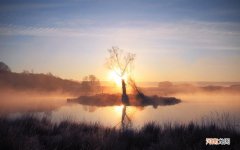 精索曲张用什么药 精索静脉曲张口服药物