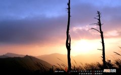 宝宝感冒了的话可以煮鸡蛋吃嘛 感冒期间饮食吃什么好