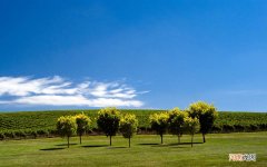 秋天晨练的成语 秋天的天气是凉爽的