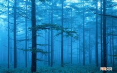 患上感冒咳嗽能喝橙汁吗 咳嗽可以喝果汁吗