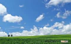 你家乡都有什么特色美食 端午节吃什么传统食物